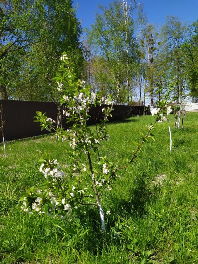 Лукі Villa Sviteaz Exterior foto